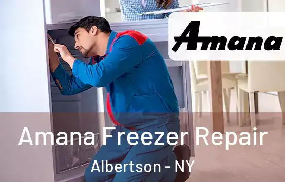  Amana Freezer Repair Albertson - NY