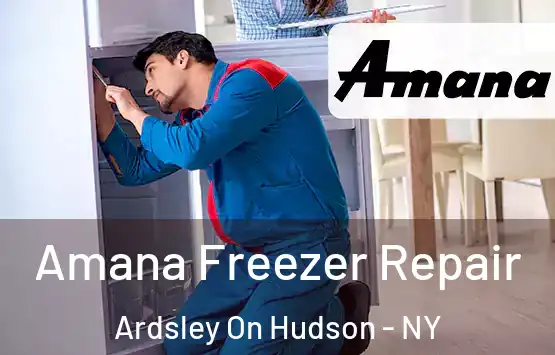  Amana Freezer Repair Ardsley On Hudson - NY