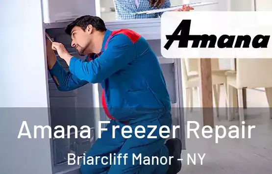  Amana Freezer Repair Briarcliff Manor - NY