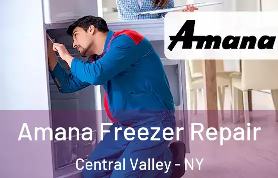  Amana Freezer Repair Central Valley - NY