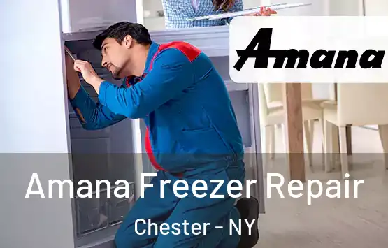  Amana Freezer Repair Chester - NY