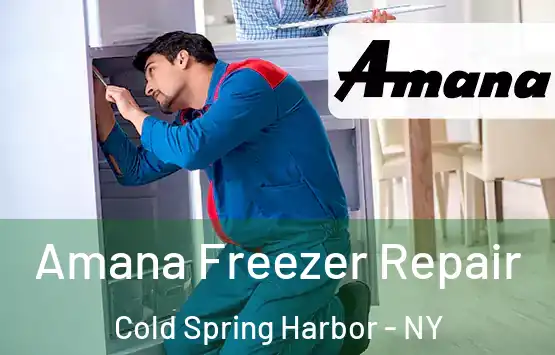  Amana Freezer Repair Cold Spring Harbor - NY