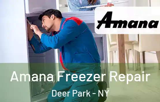  Amana Freezer Repair Deer Park - NY
