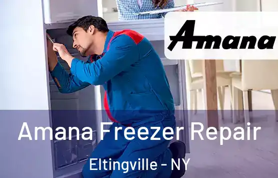  Amana Freezer Repair Eltingville - NY