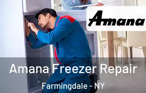  Amana Freezer Repair Farmingdale - NY