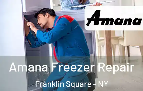  Amana Freezer Repair Franklin Square - NY