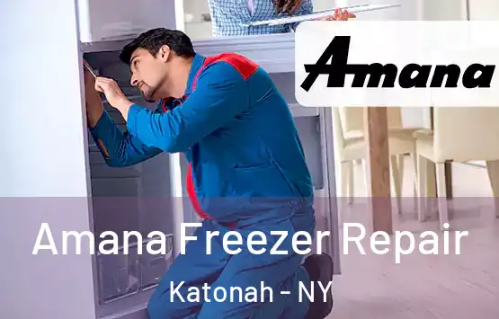  Amana Freezer Repair Katonah - NY
