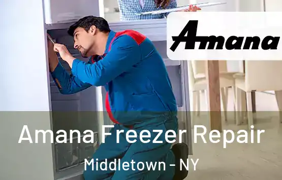  Amana Freezer Repair Middletown - NY