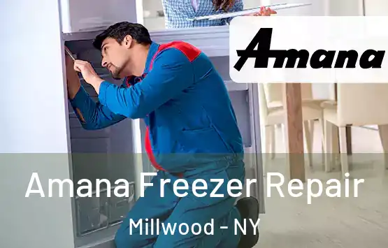  Amana Freezer Repair Millwood - NY