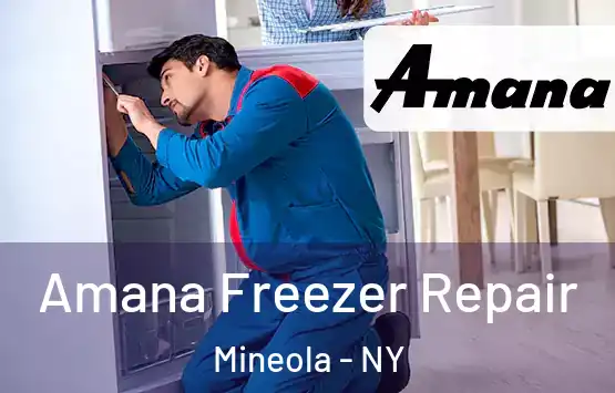  Amana Freezer Repair Mineola - NY