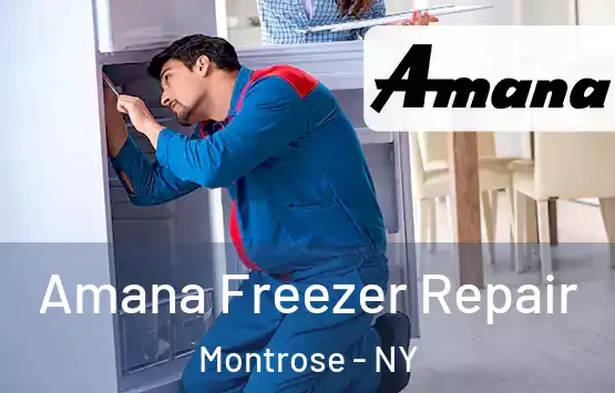  Amana Freezer Repair Montrose - NY