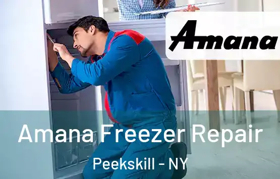  Amana Freezer Repair Peekskill - NY