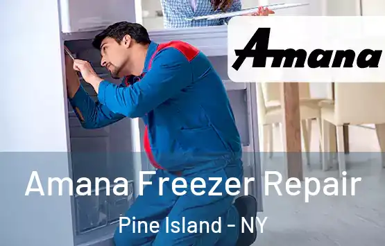  Amana Freezer Repair Pine Island - NY