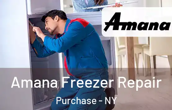  Amana Freezer Repair Purchase - NY