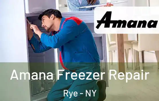  Amana Freezer Repair Rye - NY