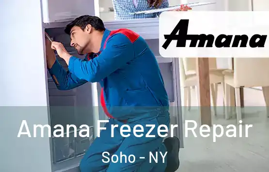  Amana Freezer Repair Soho - NY