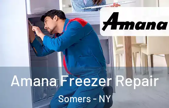  Amana Freezer Repair Somers - NY