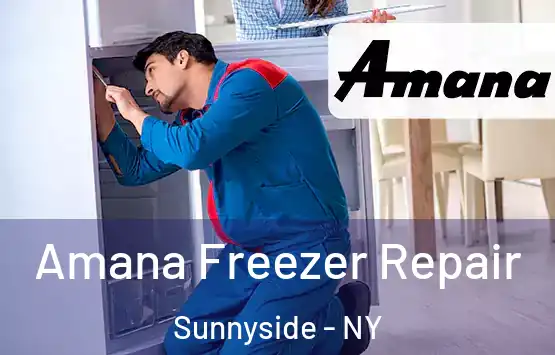  Amana Freezer Repair Sunnyside - NY