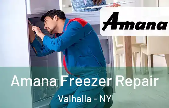  Amana Freezer Repair Valhalla - NY