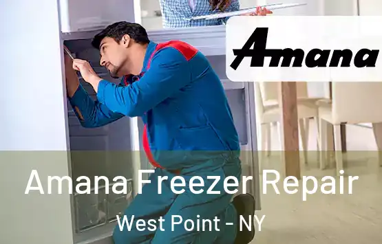  Amana Freezer Repair West Point - NY