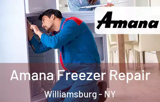  Amana Freezer Repair Williamsburg - NY