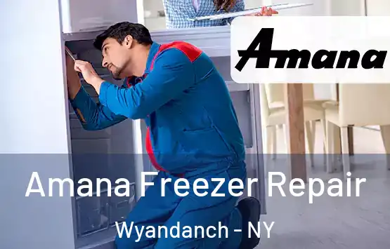  Amana Freezer Repair Wyandanch - NY