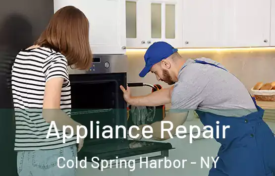  Appliance Repair Cold Spring Harbor - NY