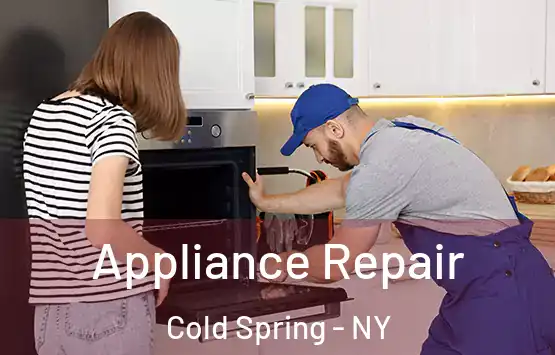  Appliance Repair Cold Spring - NY
