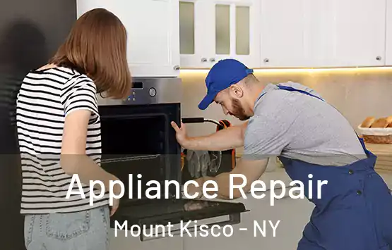  Appliance Repair Mount Kisco - NY