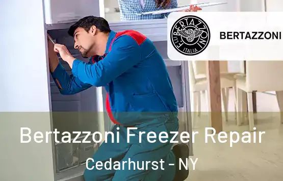 Bertazzoni Freezer Repair Cedarhurst - NY