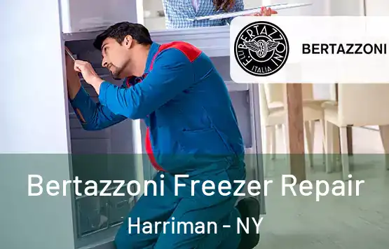  Bertazzoni Freezer Repair Harriman - NY