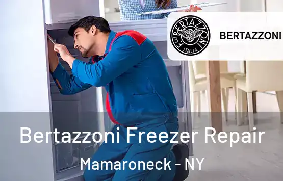 Bertazzoni Freezer Repair Mamaroneck - NY