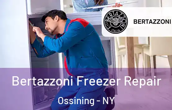  Bertazzoni Freezer Repair Ossining - NY