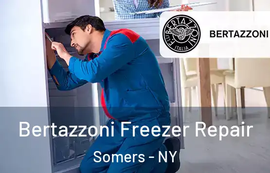 Bertazzoni Freezer Repair Somers - NY