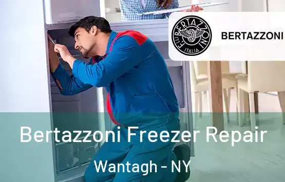  Bertazzoni Freezer Repair Wantagh - NY