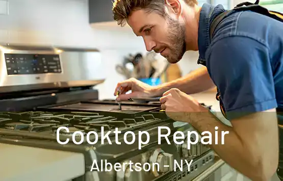  Cooktop Repair Albertson - NY
