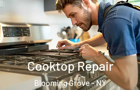 Cooktop Repair Blooming Grove - NY