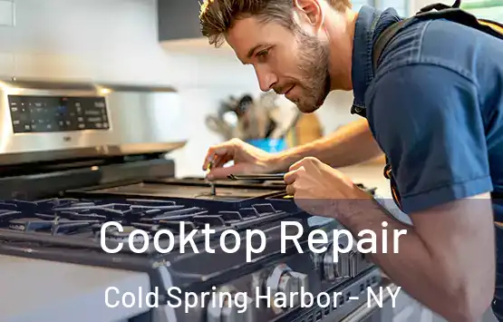  Cooktop Repair Cold Spring Harbor - NY