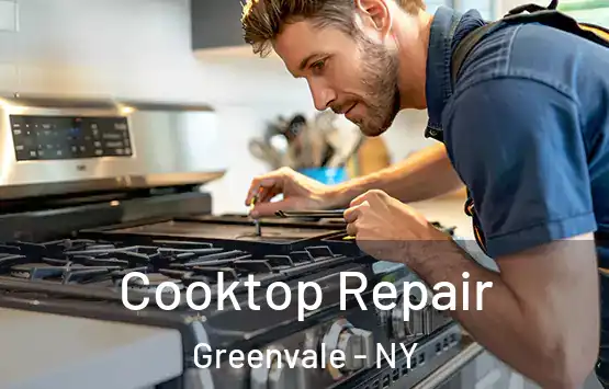  Cooktop Repair Greenvale - NY