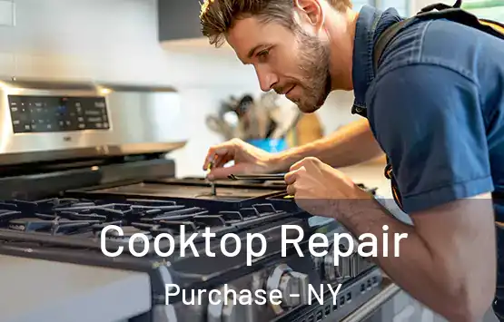  Cooktop Repair Purchase - NY