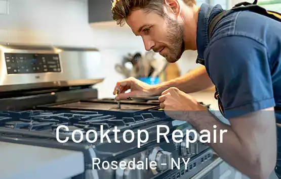  Cooktop Repair Rosedale - NY