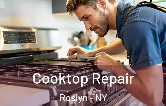  Cooktop Repair Roslyn - NY