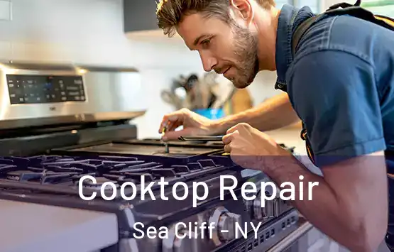  Cooktop Repair Sea Cliff - NY