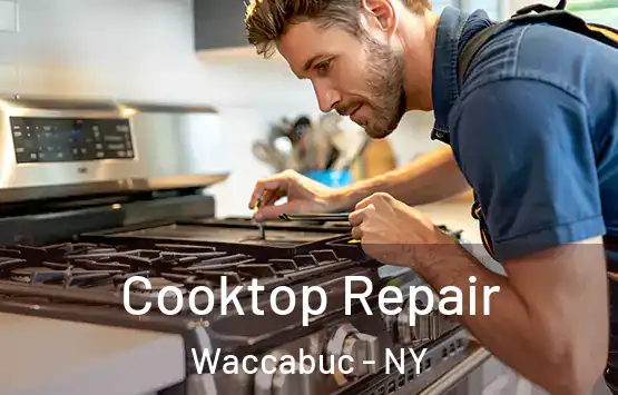 Cooktop Repair Waccabuc - NY