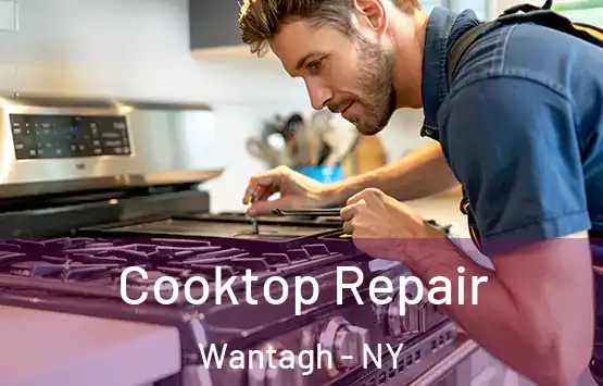  Cooktop Repair Wantagh - NY