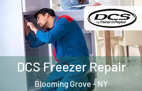  DCS Freezer Repair Blooming Grove - NY