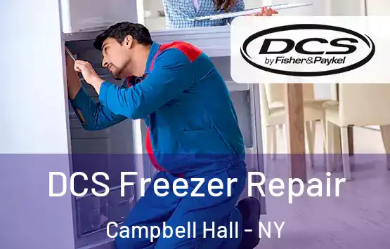  DCS Freezer Repair Campbell Hall - NY