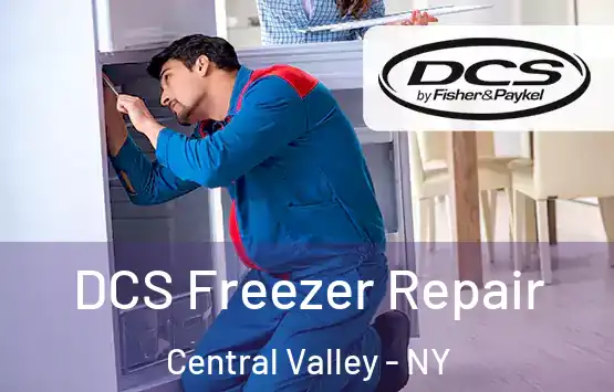  DCS Freezer Repair Central Valley - NY