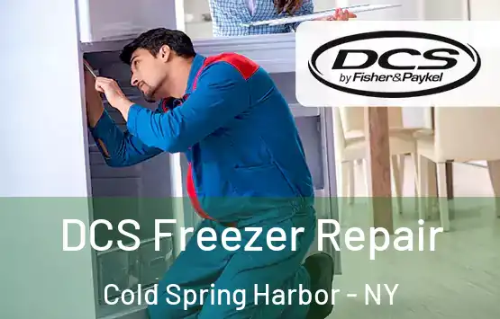  DCS Freezer Repair Cold Spring Harbor - NY