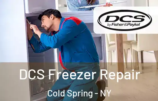  DCS Freezer Repair Cold Spring - NY